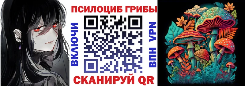 кракен tor  Полесск  Галлюциногенные грибы мицелий  дарк нет Telegram  закладки 